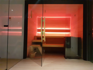 sauna domowa modern line 1