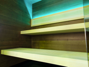 sauna domowa perfect line 5