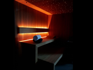 sauna domowa pro line 5